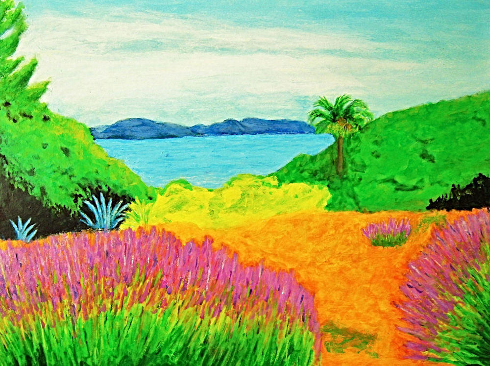 Wild Garden in Provence