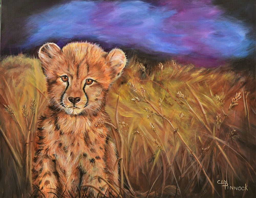 Cheetah Cub