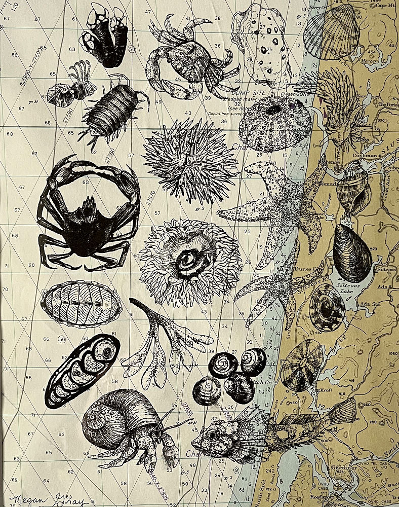 Coastal Tide Pools
