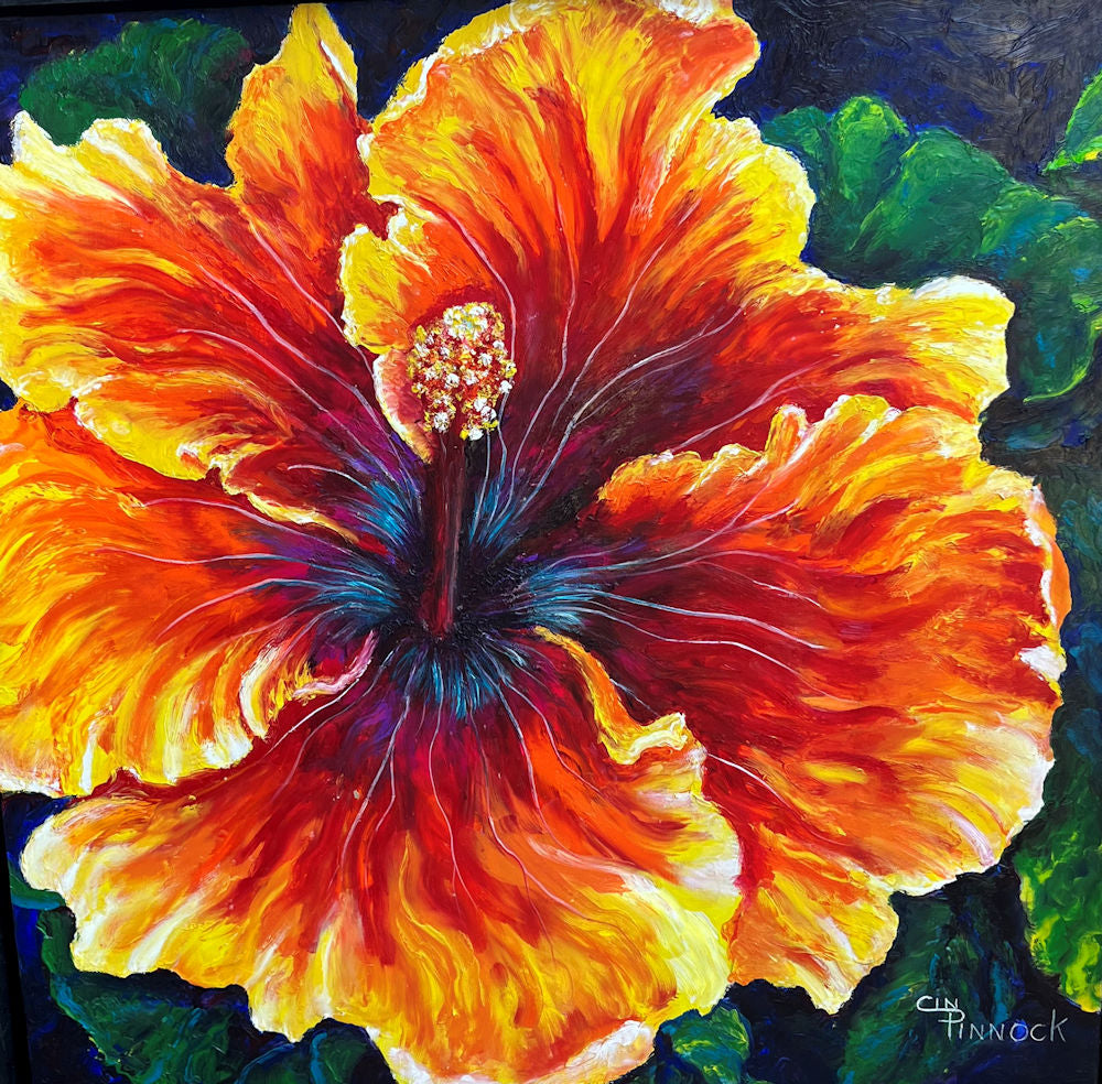 Hibiscus Fire