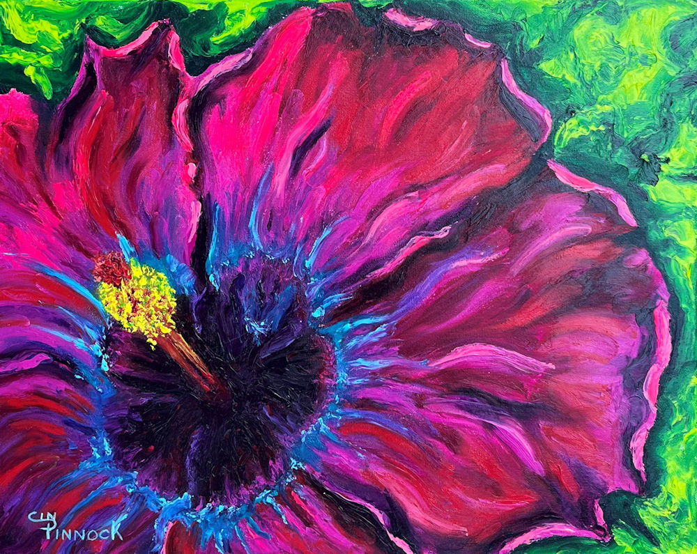 Hibiscus Magenta