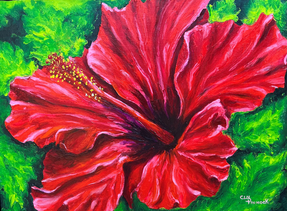 Hibiscus Red