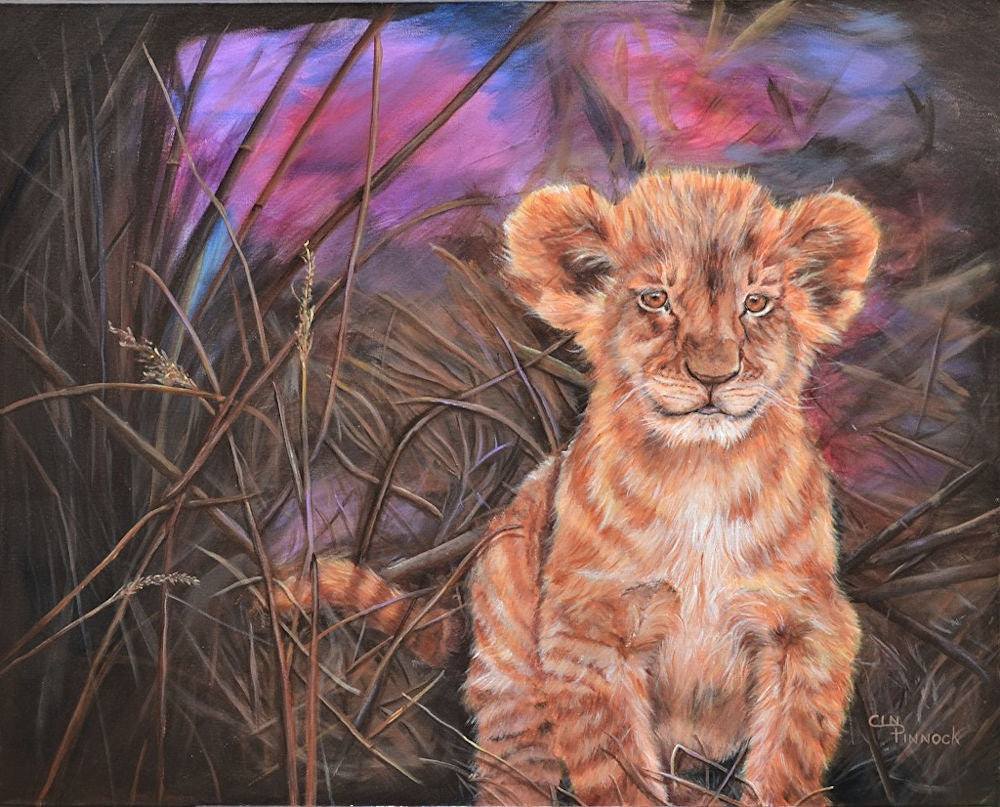 Lion Cub