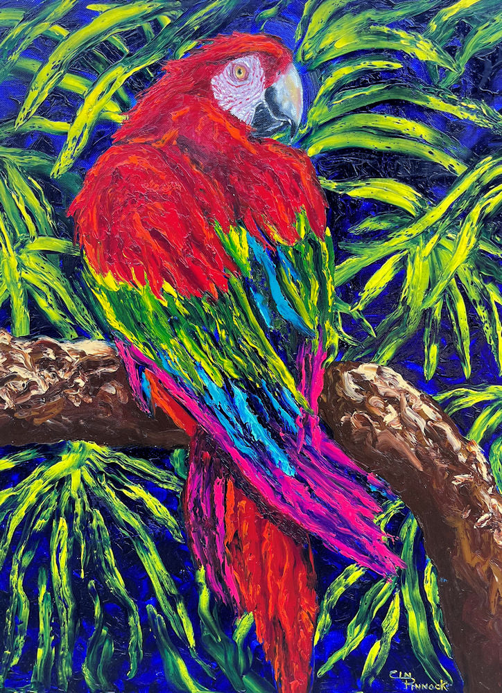 Macaw Parrot