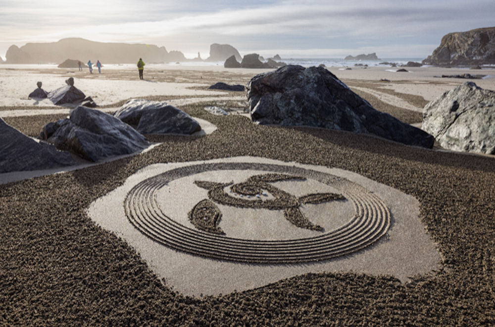 The Turtle of Bandon