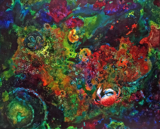 Tidepool V