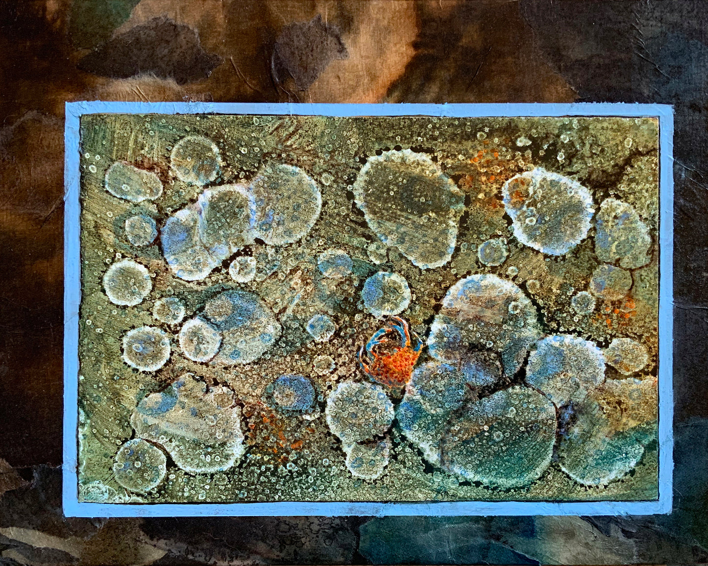 Tidepool XII