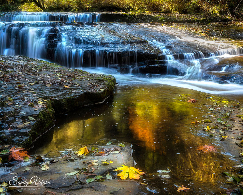 Autumn's Glow
