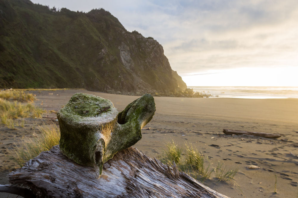 Cape Sebastian Sunset