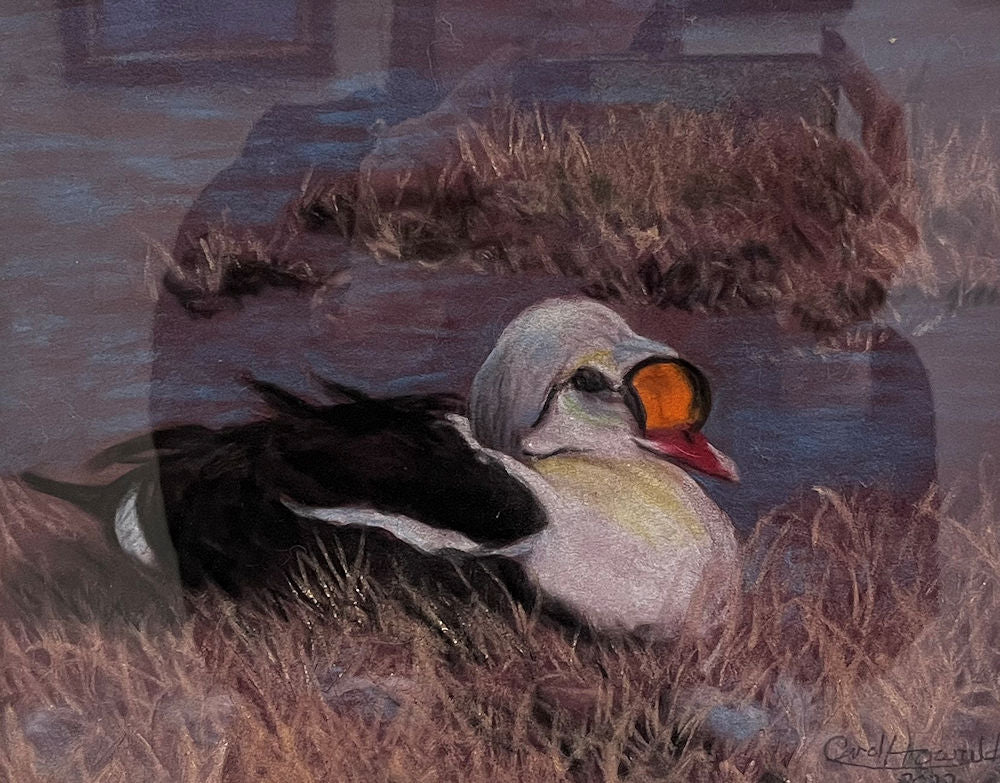 Setting Duck