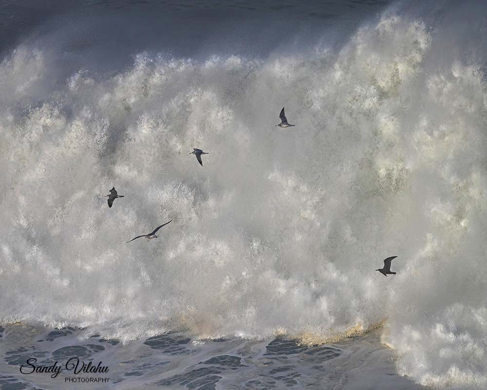 Chasing the Waves