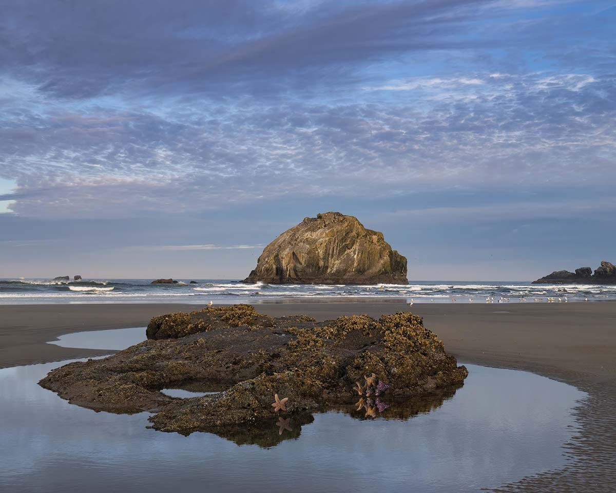 Ewauna at Ebb Tide