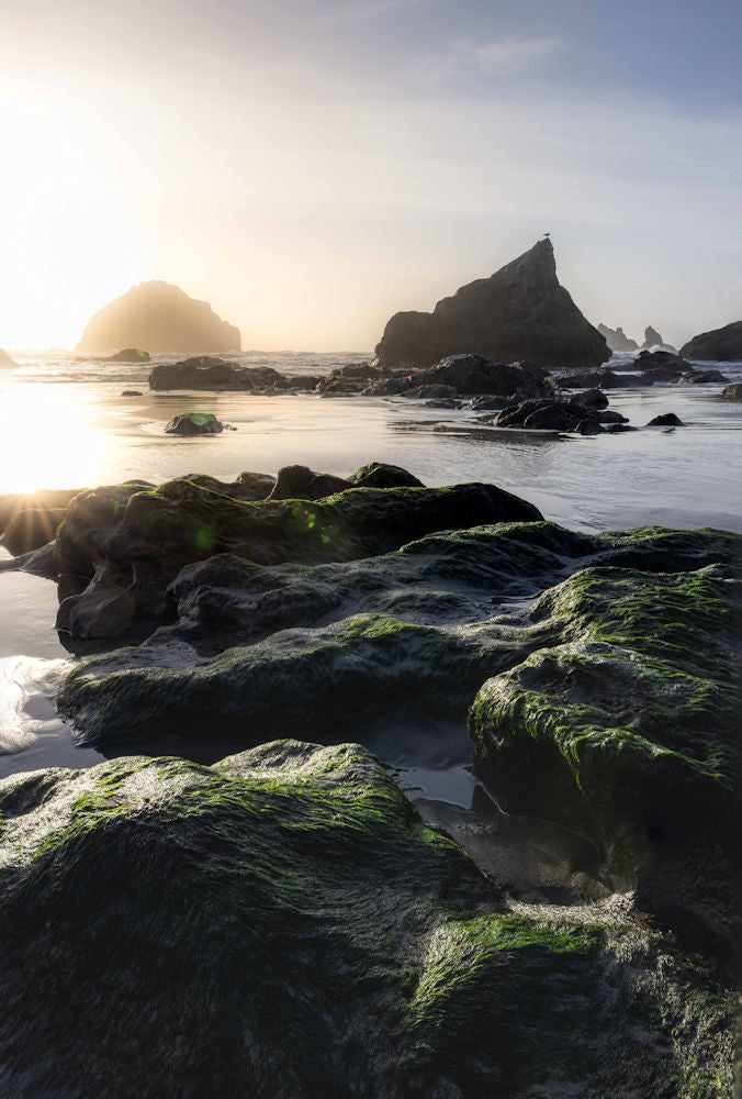 Face Rock Beach