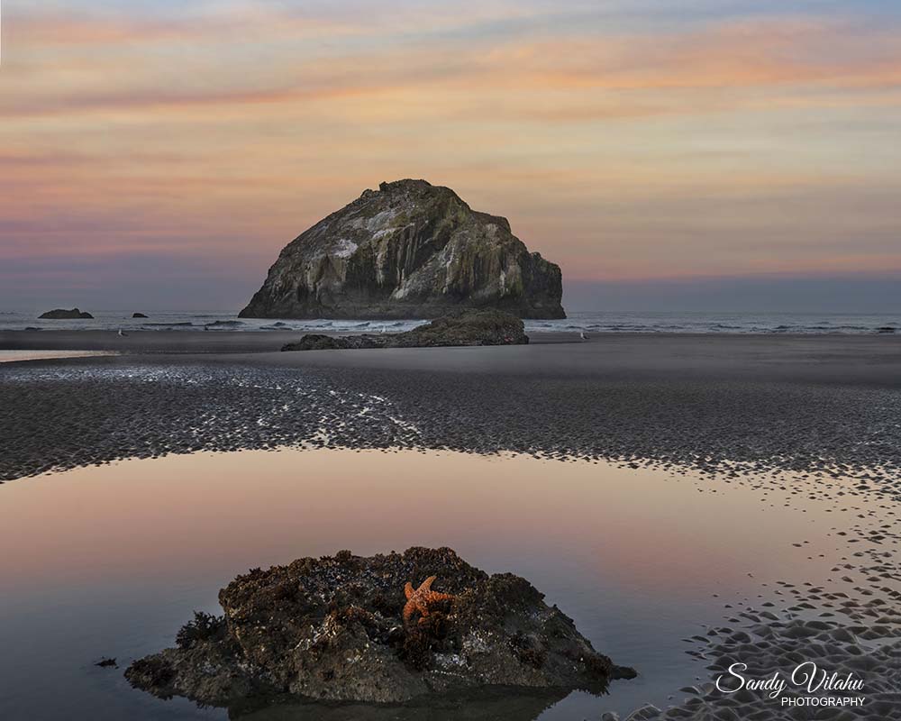 Face Rock Tide Pool