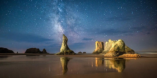 Howling Dog Panorama