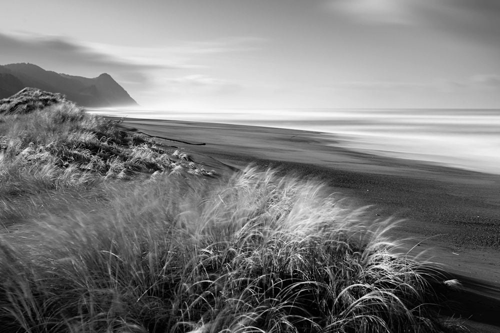 Kissing Rock to Cape Sebastian