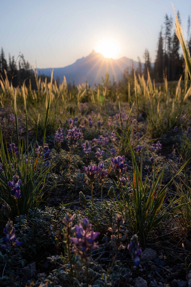 Mt Thielsen Sunrise