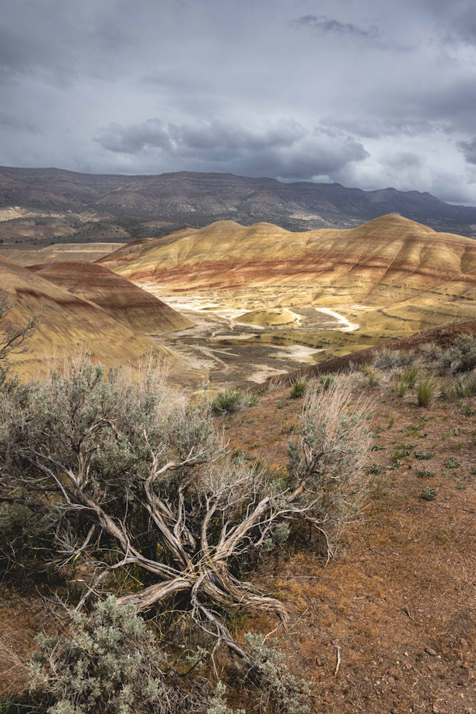 Oregon Painted Hills