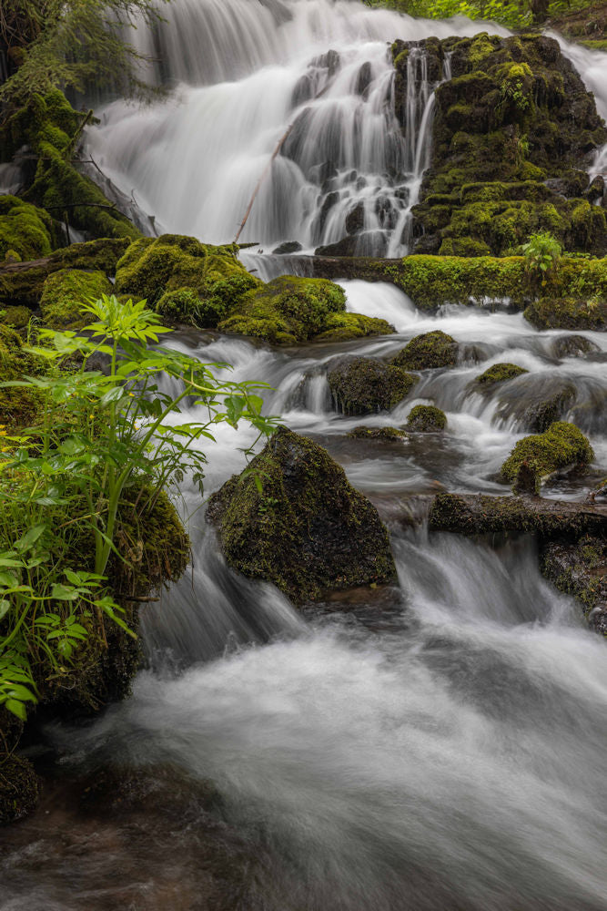 Pearsony Falls