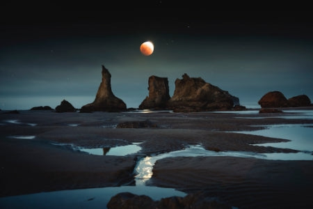 Super Blood Moon Flower Eclipse