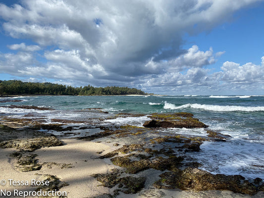 Turtle Bay
