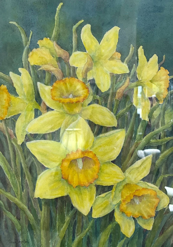 Dancing Daffodils