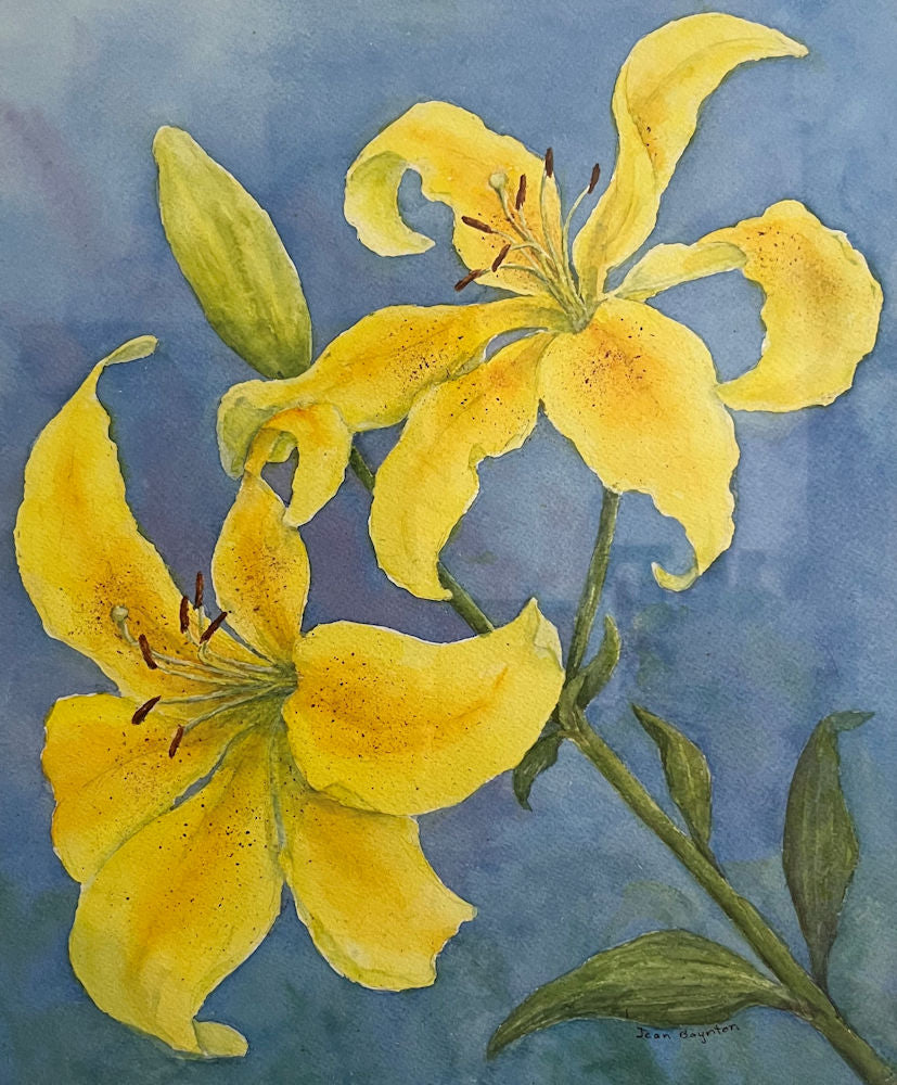 Yellow Lillies