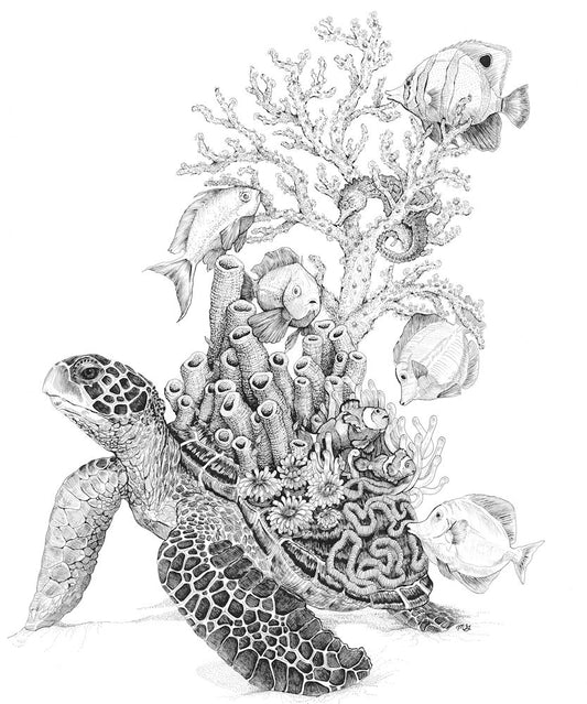 Coralling the reef