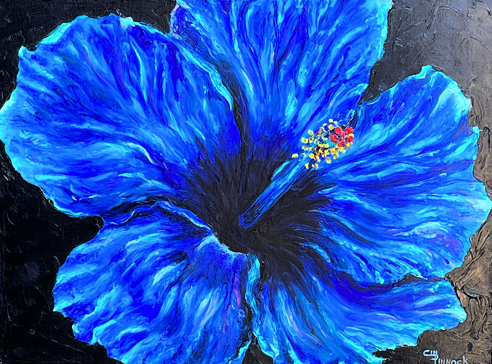 Hibiscus Blue