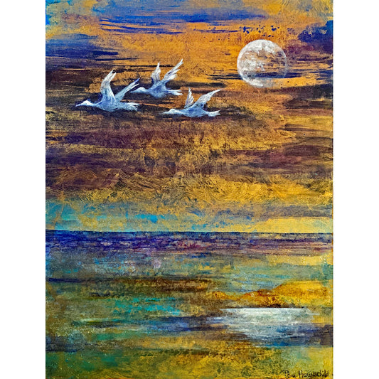 Nocturn for Migration