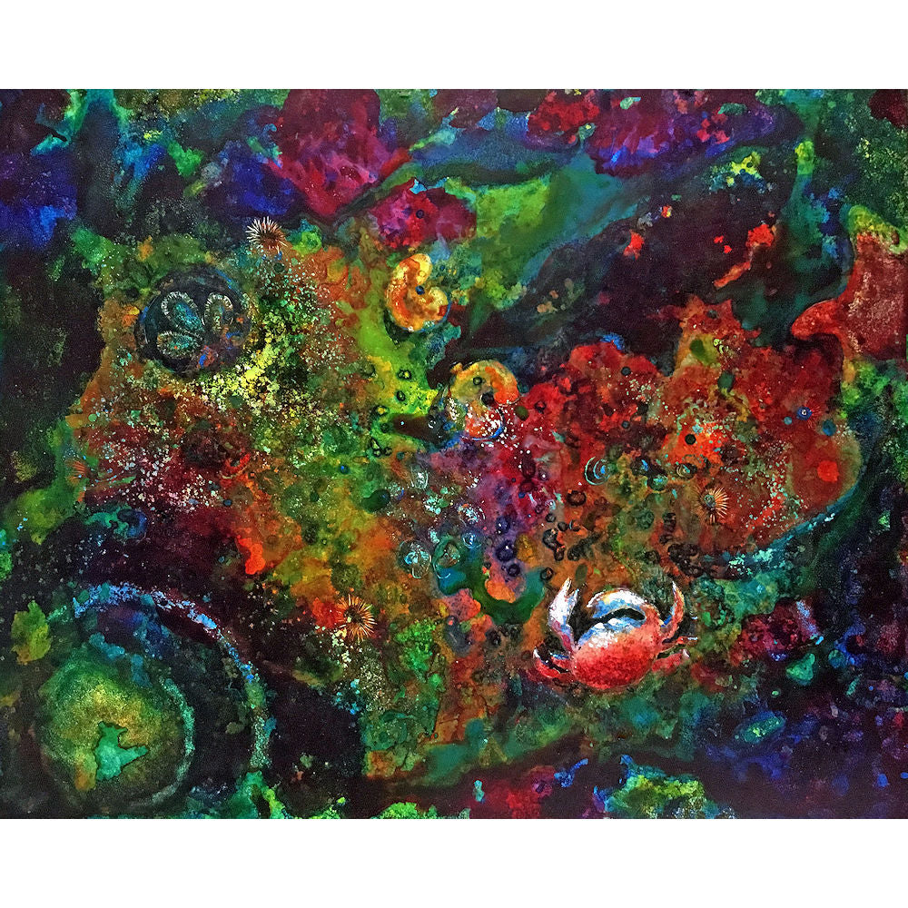 Tidepool V