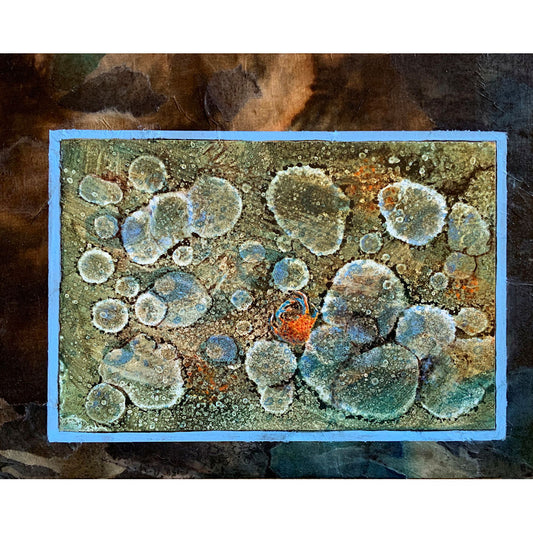 Tidepool XII