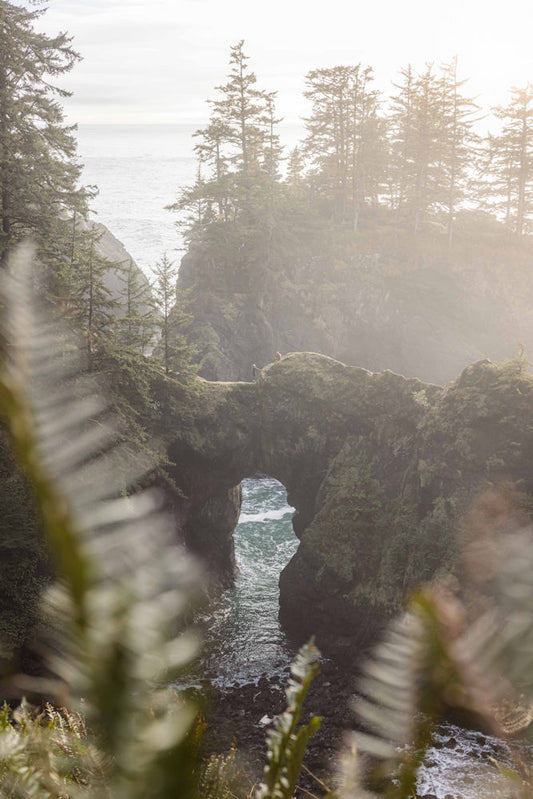 Natural Bridges, Southern Oregon Coast